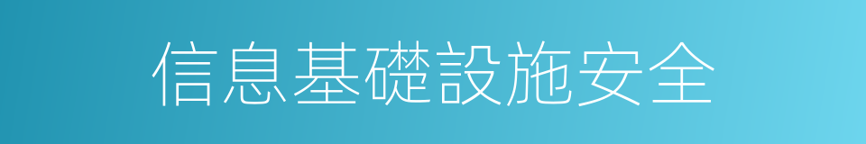 信息基礎設施安全的同義詞