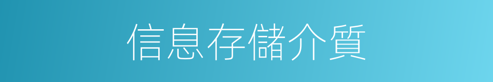 信息存儲介質的同義詞