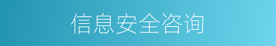信息安全咨询的同义词
