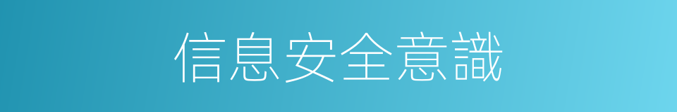 信息安全意識的同義詞