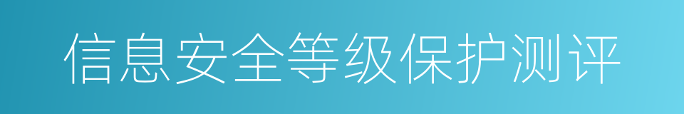 信息安全等级保护测评的同义词