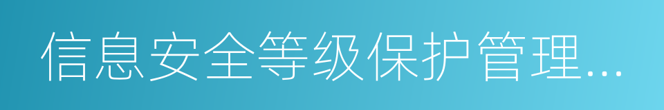 信息安全等级保护管理办法的同义词