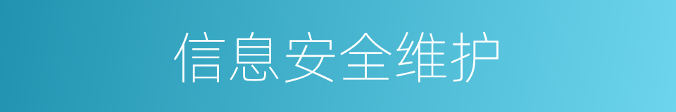 信息安全维护的同义词