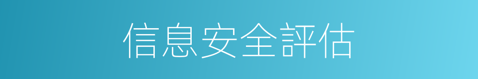 信息安全評估的同義詞