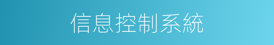 信息控制系統的同義詞