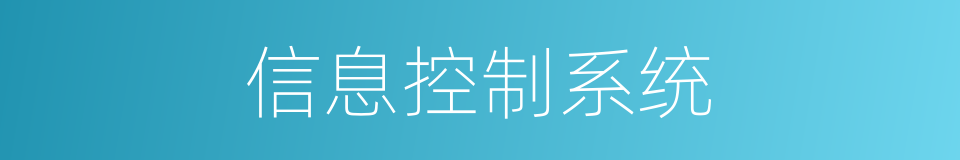 信息控制系统的同义词
