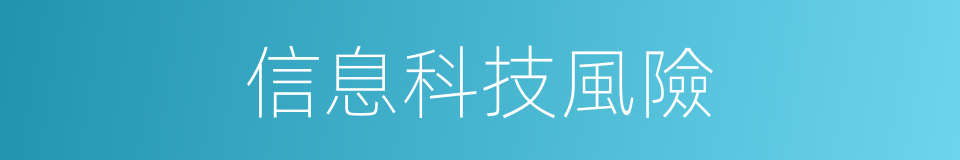 信息科技風險的同義詞