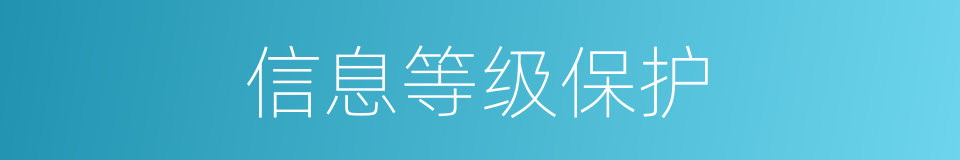 信息等级保护的同义词