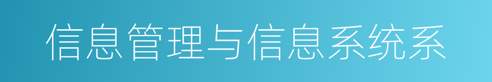 信息管理与信息系统系的同义词