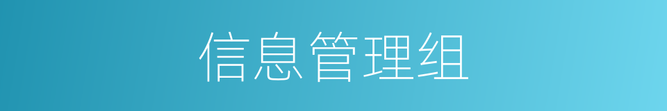 信息管理组的同义词