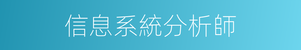 信息系統分析師的同義詞