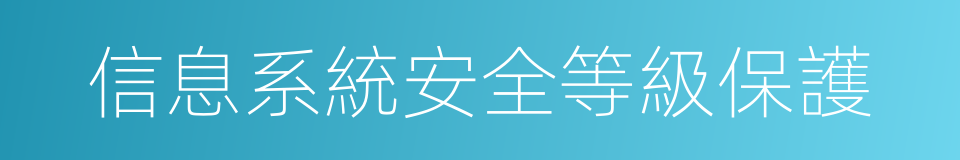 信息系統安全等級保護的同義詞