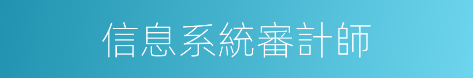 信息系統審計師的同義詞