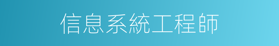 信息系統工程師的同義詞