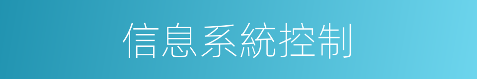 信息系統控制的同義詞