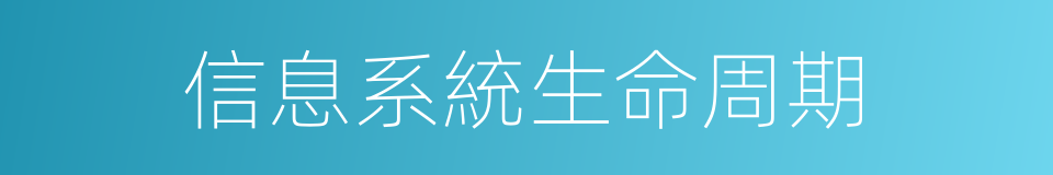 信息系統生命周期的同義詞