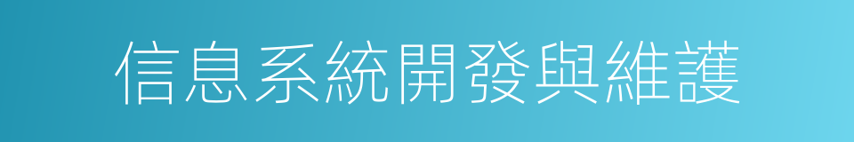 信息系統開發與維護的同義詞