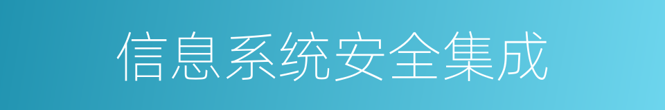 信息系统安全集成的同义词