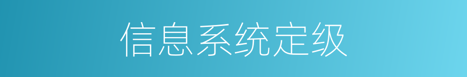 信息系统定级的同义词