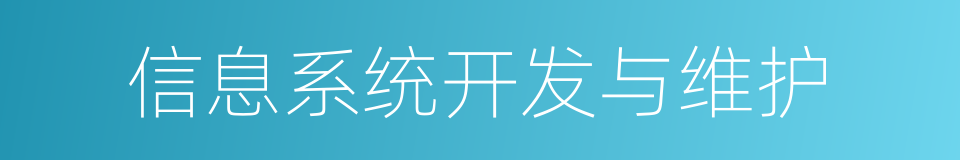 信息系统开发与维护的同义词