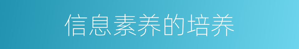 信息素养的培养的同义词