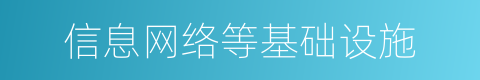 信息网络等基础设施的同义词