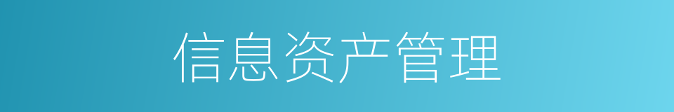 信息资产管理的同义词