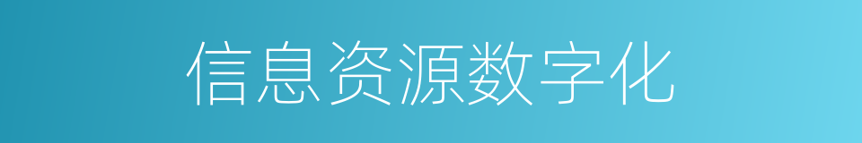 信息资源数字化的同义词