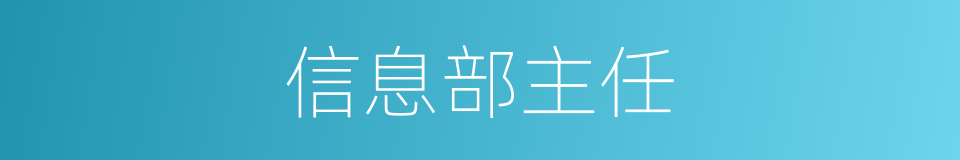 信息部主任的同义词
