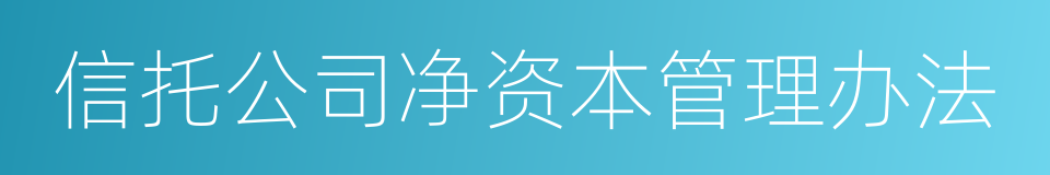 信托公司净资本管理办法的同义词