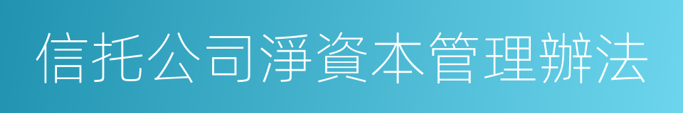 信托公司淨資本管理辦法的同義詞