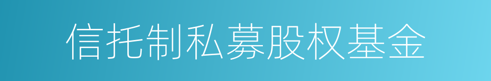 信托制私募股权基金的同义词