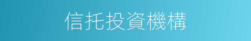 信托投資機構的同義詞