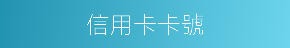 信用卡卡號的同義詞