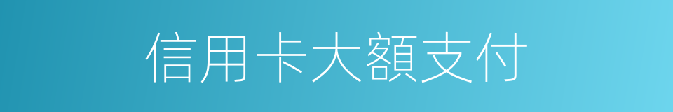 信用卡大額支付的同義詞