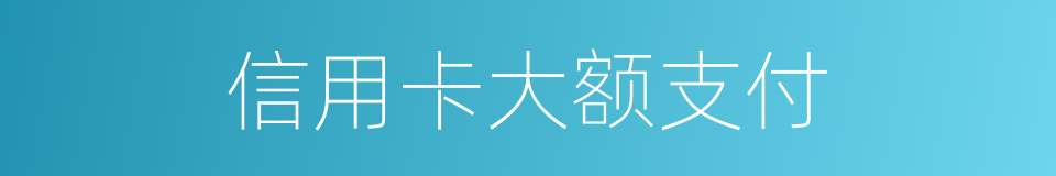 信用卡大额支付的同义词