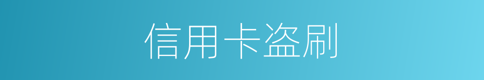 信用卡盗刷的同义词