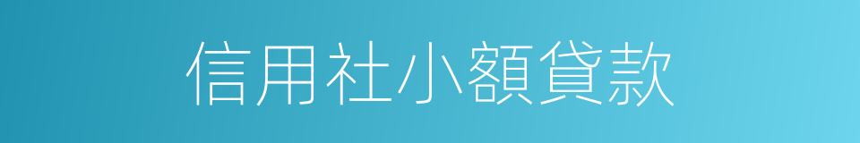 信用社小額貸款的同義詞