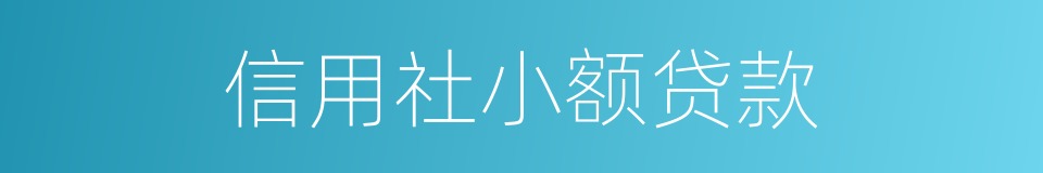 信用社小额贷款的同义词