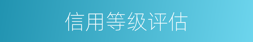 信用等级评估的同义词