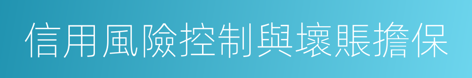 信用風險控制與壞賬擔保的同義詞