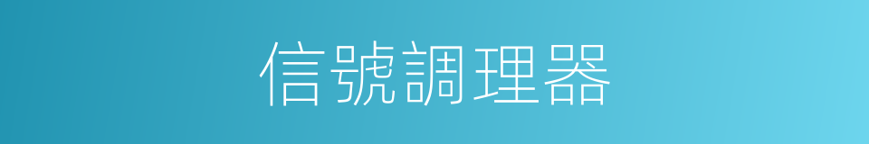 信號調理器的同義詞