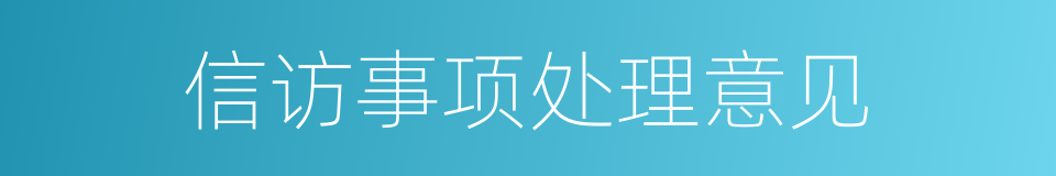 信访事项处理意见的同义词