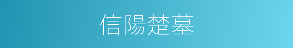 信陽楚墓的同義詞