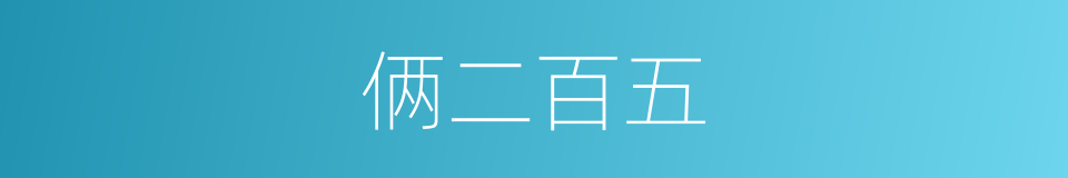俩二百五的同义词