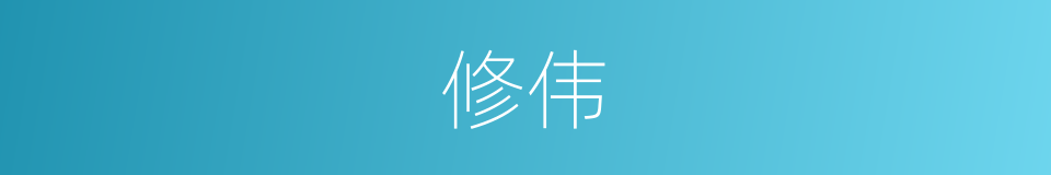 修伟的意思