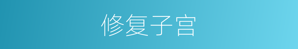 修复子宫的同义词