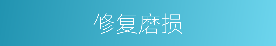 修复磨损的同义词