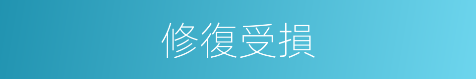 修復受損的同義詞