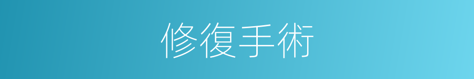 修復手術的同義詞